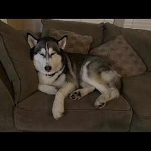 Meet your Posher, Elizabeth